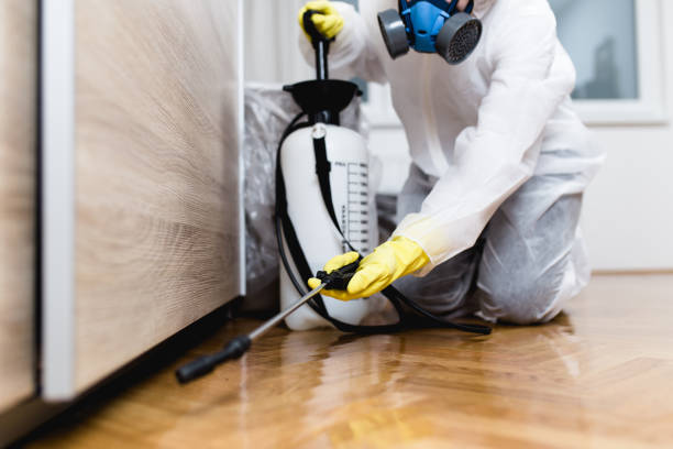 Best Wasp Removal Services  in Crosspointe, VA