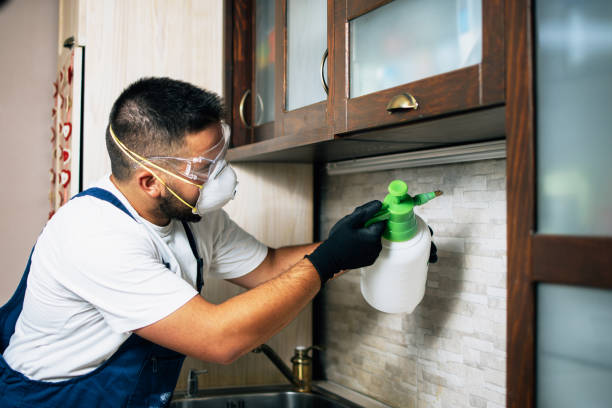 Best Pest Inspection Near Me  in Crosspointe, VA
