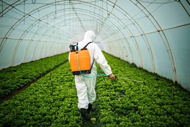 Best Local Pest Control Services  in Crosspointe, VA