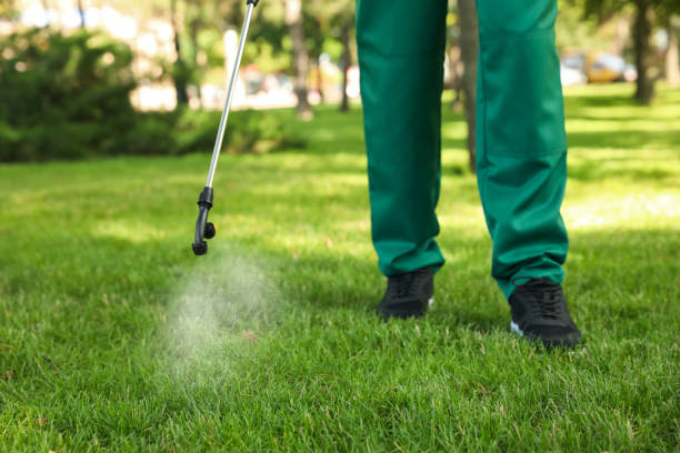 Wasp Removal Services in Crosspointe, VA