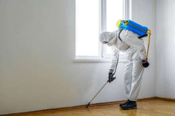 Best Affordable Pest Control Services  in Crosspointe, VA