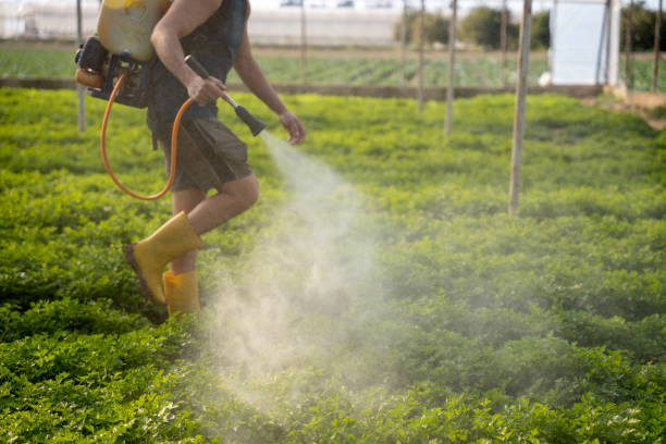 Best Pest Removal Services  in Crosspointe, VA