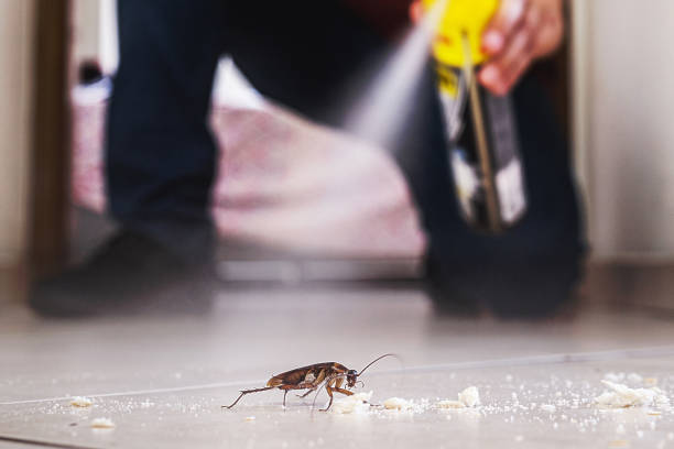 Crosspointe, VA Pest Control Company