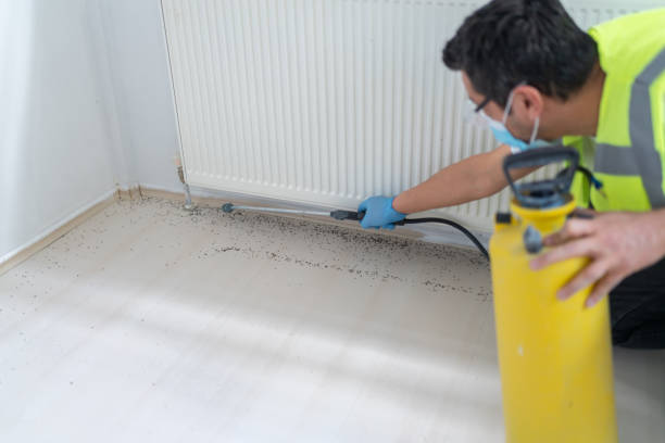 Best Pest Prevention Services  in Crosspointe, VA