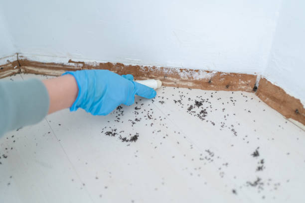 Best Pest Control Near Me in Crosspointe, VA
