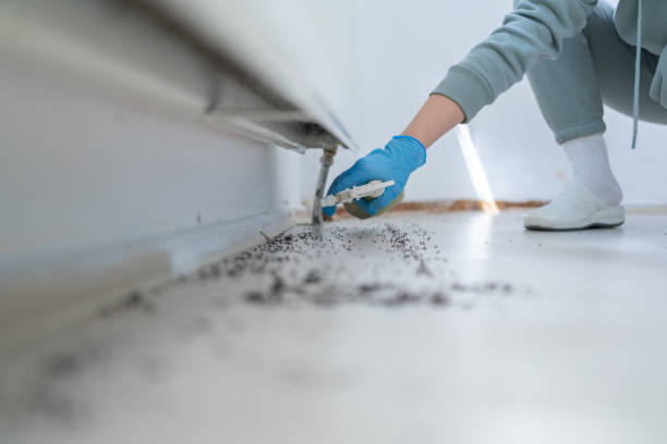 Best Commercial Pest Control Services  in Crosspointe, VA